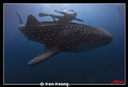 we were so close! by Ken Keong 